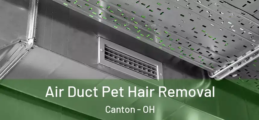 Air Duct Pet Hair Removal Canton - OH