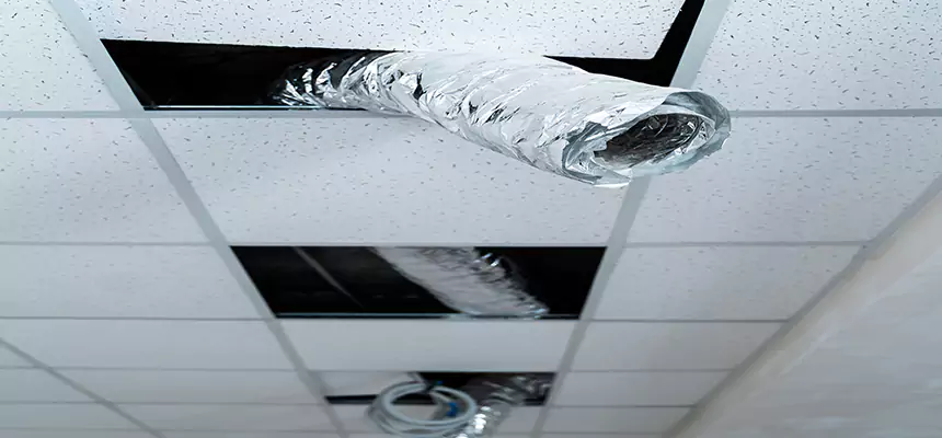 Our Air Duct Pet Hair Removal Services in Canton, OH