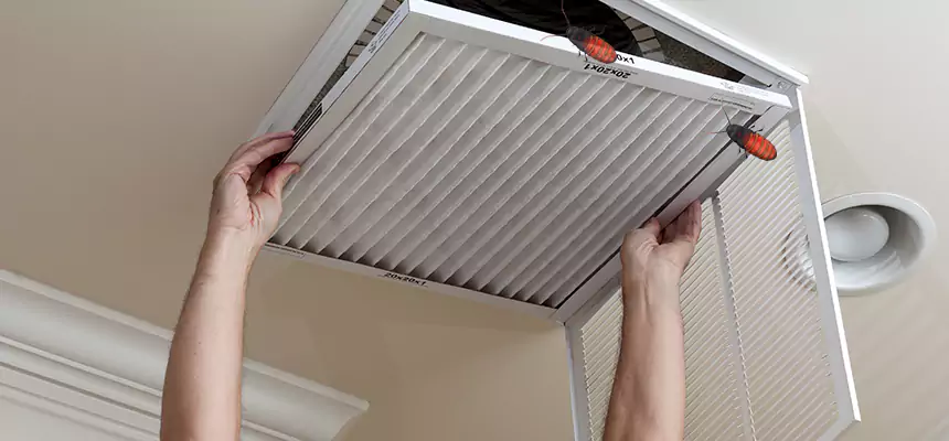 Our Insect Removal from Air Ducts Services in Canton, OH