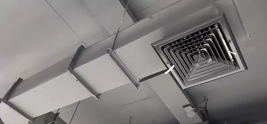 Our Pest Removal From Ducts Services in Canton, OH