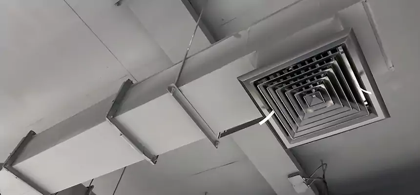 Our Rodent Droppings In Vents Services in Canton, OH