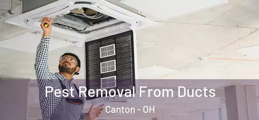  Pest Removal From Ducts Canton - OH