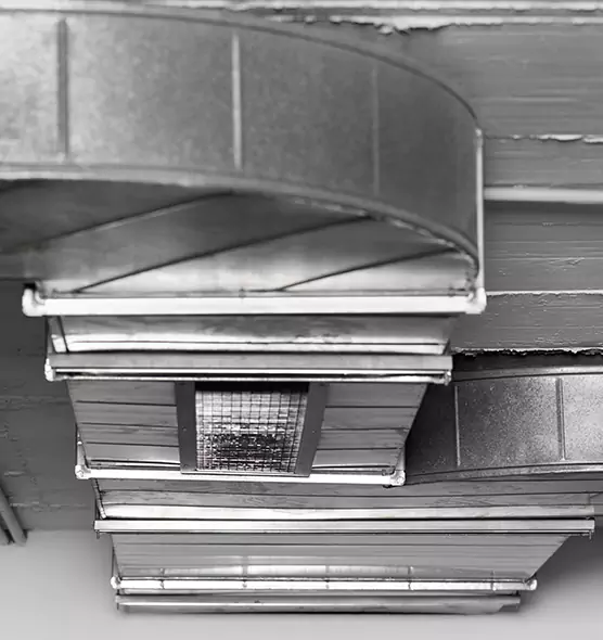 Professional Air Duct Pest Removal in Canton, OH