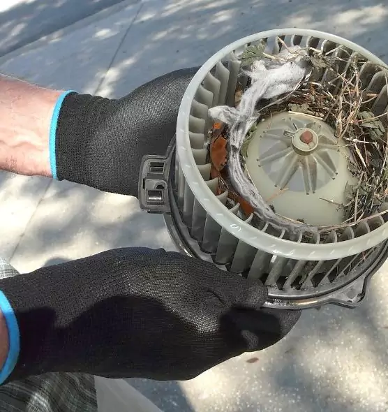 About Air Duct Rat Removal in Canton, OH