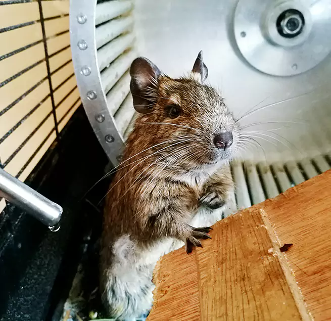 Why Homeowners & Businesses Trust Us Canton, OH