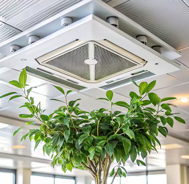 Why Homeowners & Businesses Trust Us in Canton, OH